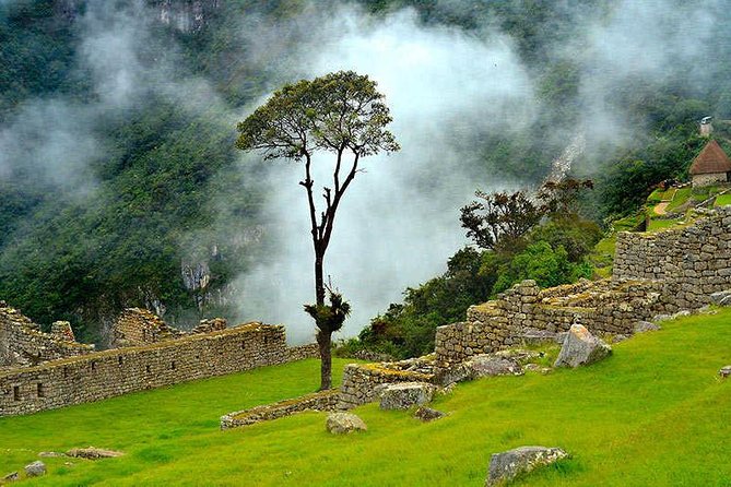 07 Day: Inca Jungle Adventure with Mountain Bike, Rafting, Zipline & Trek - Machu Picchu by morning bus: a guided tour with optional big views