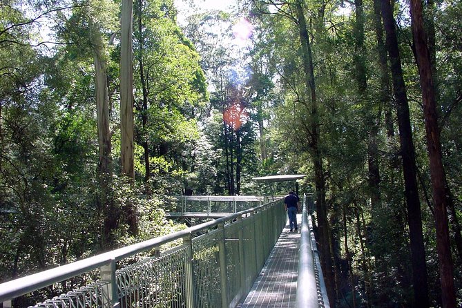 12 Apostles and Otway Fly Zipline Day Trip from Melbourne - Yatzies lunch stop: gardens, parrots, and your chance to recharge