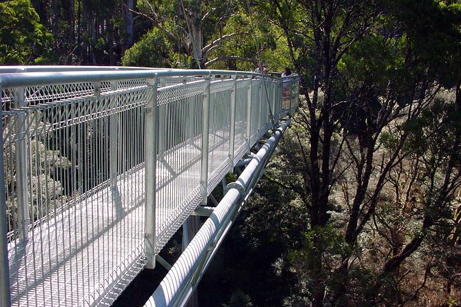 12 Apostles and Otway Fly Zipline Day Trip from Melbourne - Price and value: is $159.23 actually fair?