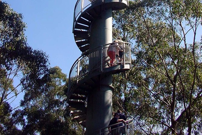 12 Apostles and Otway Fly Zipline Day Trip from Melbourne - Who this trip is best for (and who should skip it)