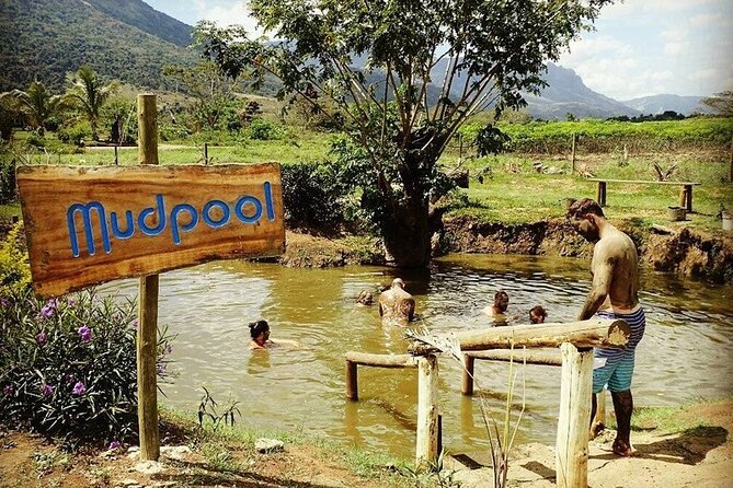 16 Lines Zipline, Cave and Mud Spa Combo Tour with Lunch in Fiji - The climb, the safety briefing, and why your legs matter