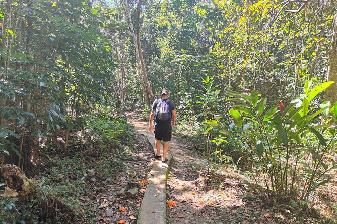 16 Lines Zipline, Cave, Hiking & Biausevu Waterfall Combo Tour - Hiking to Biausevu Waterfall: 2.5 km, Stream Crossings, Water Shoes