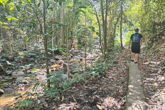 16 Lines Zipline, Cave, Hiking & Biausevu Waterfall Combo Tour - Cave Time in the Combo: What You Can Confirm Ahead