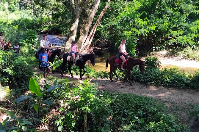 16 Lines Zipline, Cave, Hiking & Biausevu Waterfall Combo Tour - Waterfall Moments: Natural Spring Waters and Majestic Views