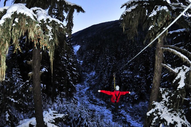 2 Hour Late Afternoon Winter Zipline Adventure - Late Afternoon in Whistler: Why this timing is the whole point
