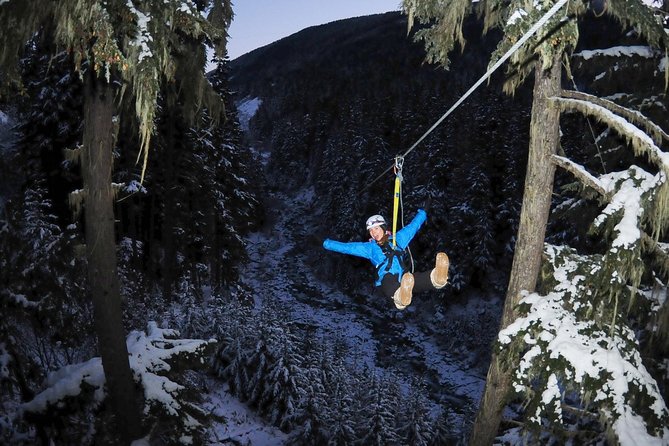 2 Hour Late Afternoon Winter Zipline Adventure - From meeting point to first platform: what the flow feels like