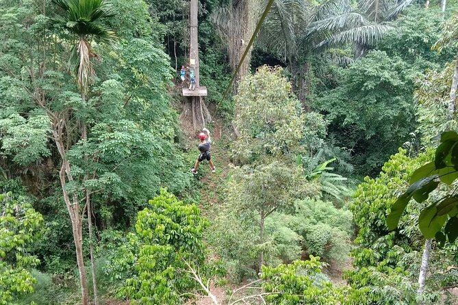 2 Hrs Zipline + ATV Riding 40 Minutes in Krabi - Who This Tour Is Best For (and Who Should Rethink It)