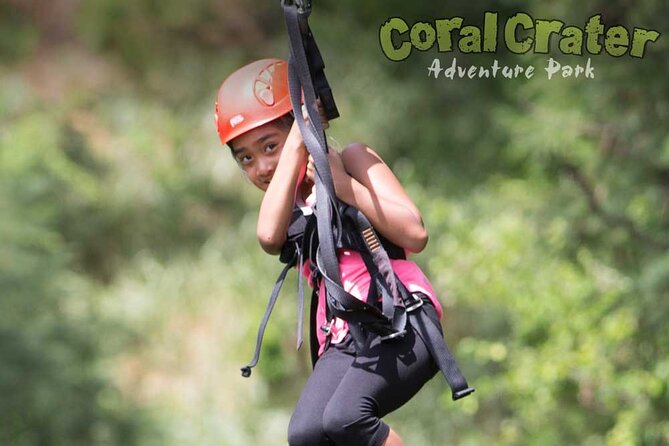 3 Zipline Adventure at Coral Crater with Optional Waikiki Shuttle - Price and value: is $109 worth it on Oahu?