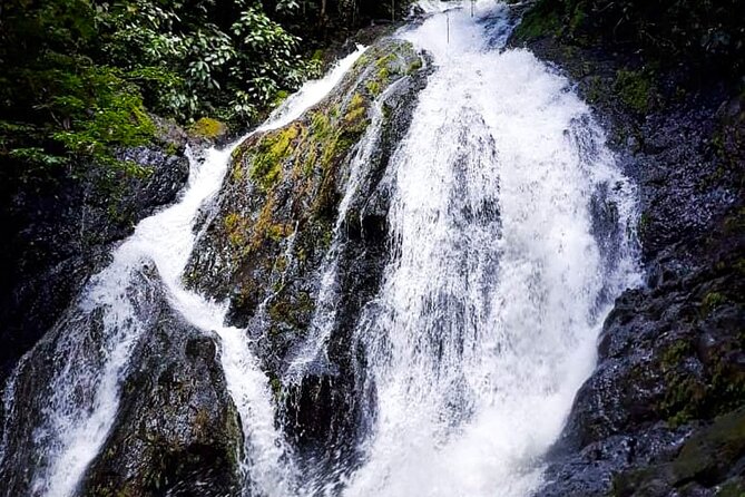 5 Hour Off-Road ATV+ Zipline+ Waterfall Rappelling+ Tractor Jungle Tour - Should you book the 5-hour ATV plus Zipline plus Waterfall Rappel?