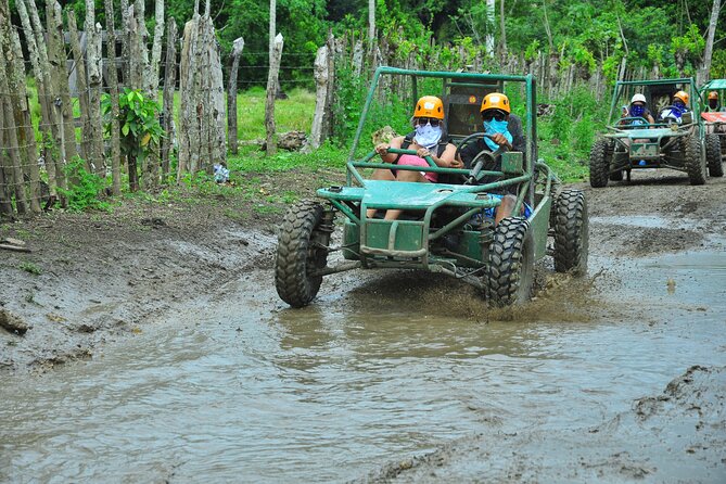 5 tours in 1 (Eco Farm/Horseback/City Tour/Buggy/Zipline) - A One-Day Mix of Horses, Zipline, Buggies, and Dominican Culture