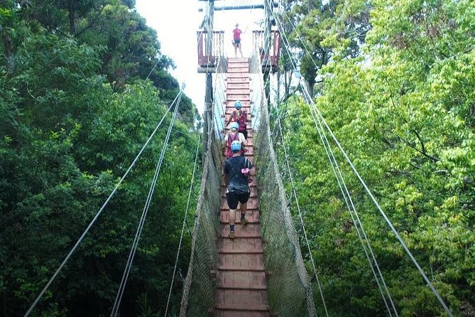 6 Dual-Zipline Mountain Adventure in Maui - Small-Group Feel: How It Plays Out for Families and Nervous Riders