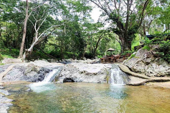 6 Hours Giant Zipline Adventure Park in Fiji - Getting There: Denarau Island to Sabeto Valley Jungle