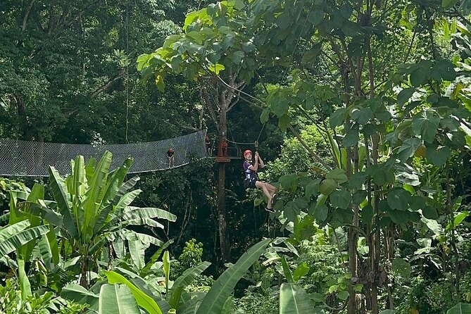 7 Hour Sticky Waterfall and Zipline Adventure - Zipline Through Mae Taeng Jungle With a 9 AM Head Start