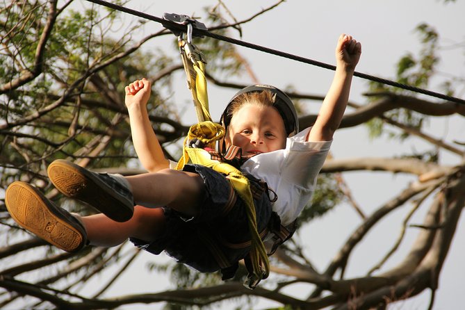 7-Line Maui Zipline on the North Shore - Should you book the 7-Line Maui Zipline at Camp Maui?