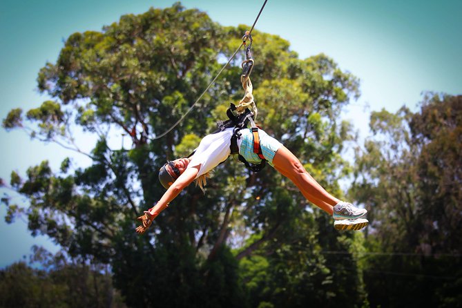 7-Line Maui Zipline on the North Shore - What you actually ride: seven lines, aerial transfers, and 70-foot thrills