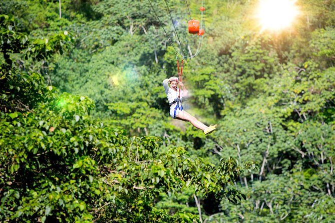 7 Tours Punta Cana: Zipline, Chairlift, ATV, Ride Horses, & More! - Horseback riding that works for first-timers