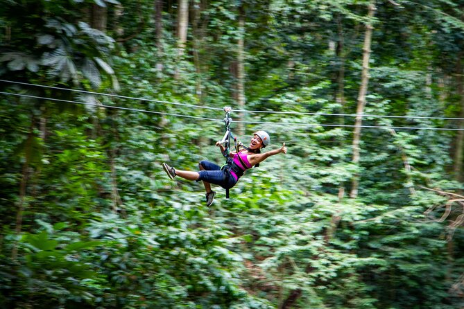 Adrena-Line Zipline, St. Lucia - Key things that make Adrena-Line worth your time