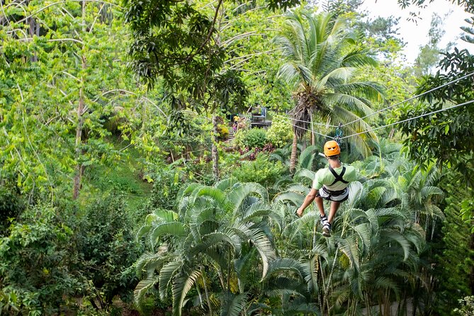 Adrena-Line Zipline, St. Lucia - Small-group pacing, waits, and the “tram might not work” reality