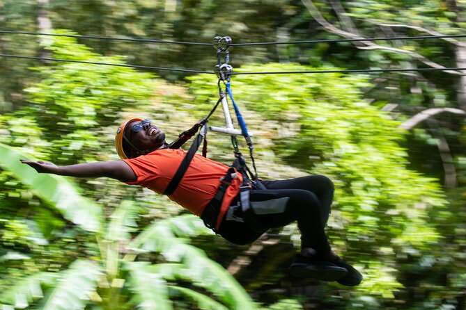 Adrena-Line Zipline, St. Lucia - What to wear and bring: bug spray beats sunblock in the rainforest