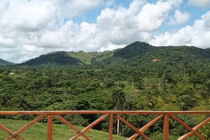 Adrenaline Total: Zipline Tour in Punta Cana - Drinks, Comfort, and What’s Included in the Price