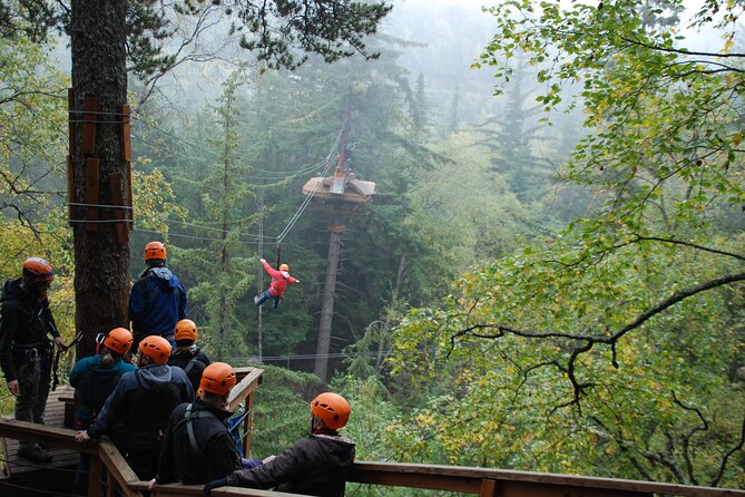 Adventure Parks & Zipline Tour - Key Points to Know Before You Go