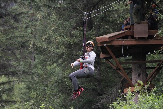 Adventure Parks & Zipline Tour - From the Port of Skagway to the Klondike Highway Adventure Park