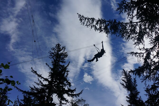 Adventure Parks & Zipline Tour - Climbing and the 70-Foot Rappel: What to Expect and How to Be Ready