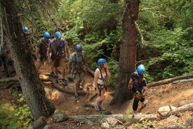 Adventure Parks & Zipline Tour - Safety Gear and Orientation That Actually Prepares You