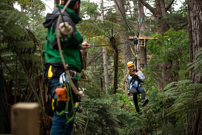 Adventurous Zipline Tour in Coromandel - Small-Group Zipline with a Mountain Railway Start