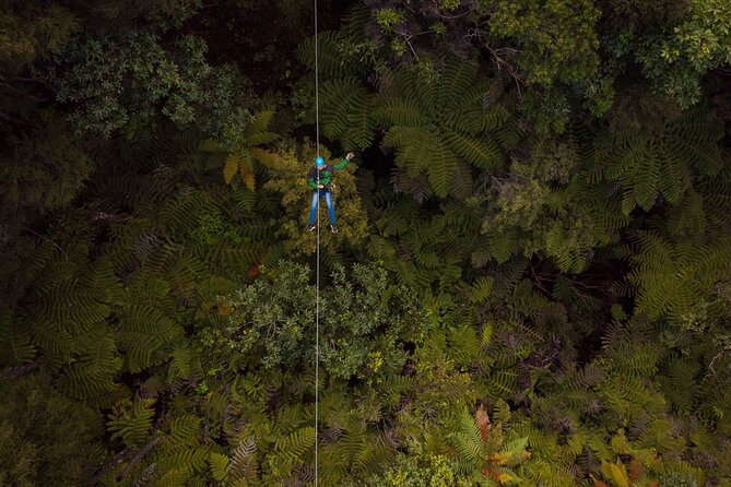 Adventurous Zipline Tour in Coromandel - Entering Coromandel via Driving Creek’s Mountain Railway