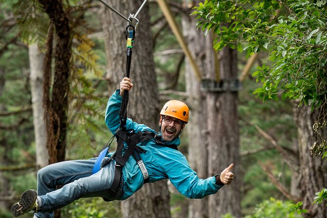 Adventurous Zipline Tour in Coromandel - Eight Ziplines Plus the Kauri Story You’ll Actually Remember