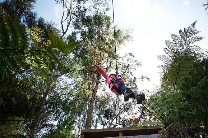 Adventurous Zipline Tour in Coromandel - Price and Value: Why $91.22 Feels Reasonable Here