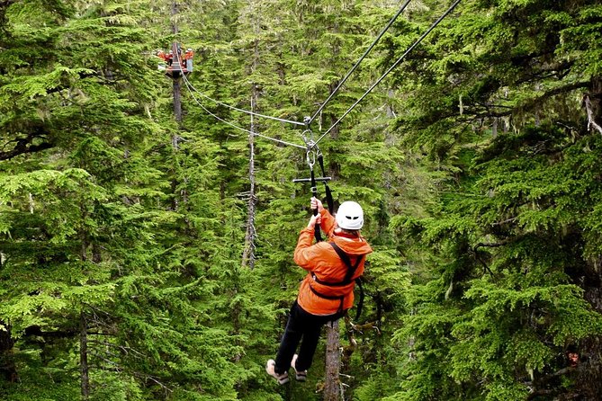 Alpine Zipline Adventure in Juneau, AK - Key Things You’ll Notice Right Away