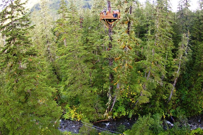 Alpine Zipline Adventure in Juneau, AK - The 3.5-Hour Flow: Zips, Platforms, Bridge, Axe Throwing