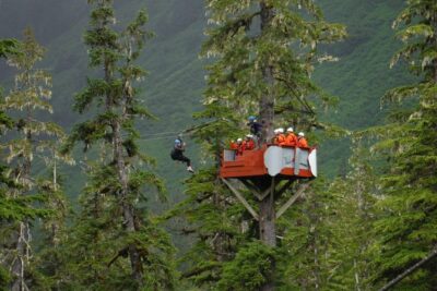 Alpine Zipline Adventure in Juneau, AK - Douglas Island Ziplining Over the Tongass: What You’re Really Riding