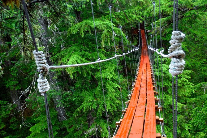 Alpine Zipline Adventure in Juneau, AK - The Suspension Bridge Over a Rushing Stream: A Different Kind of Thrill