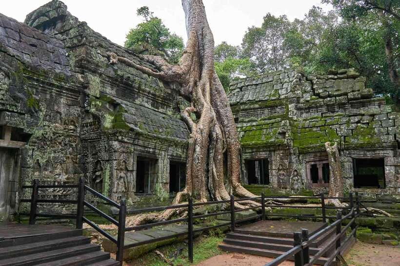 Angkor Zipline and Temple Tour with Sunset - Key Highlights You’ll Actually Feel During the Day