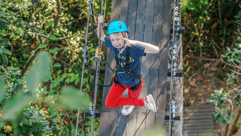 Angkor Zipline Eco-Adventure Canopy Tour - Soaring Over Angkor: Why This Canopy Tour Feels Special