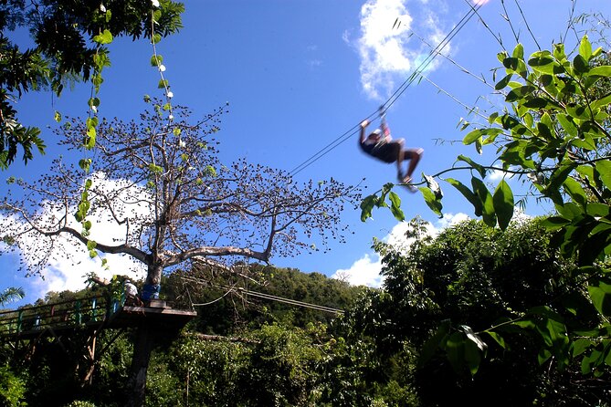 Antigua Zipline Canopy Adventure from St John’s - Getting There From St John’s: The Air-Conditioned Taxi Ride