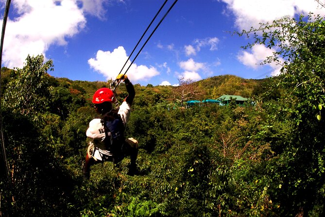Antigua Zipline Canopy Adventure from St John’s - The Canopy Course: 10 Ziplines, Bridges, and Rope Challenges