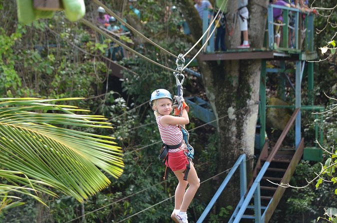 Antigua Zipline Canopy Adventure from St John’s - The Most Memorable Moments: Gorge Crossings and Birdsong Overhead