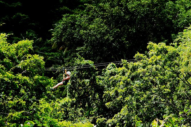Antigua Zipline Canopy Adventure from St John’s - Timing and Group Size: Why It Usually Feels Smooth