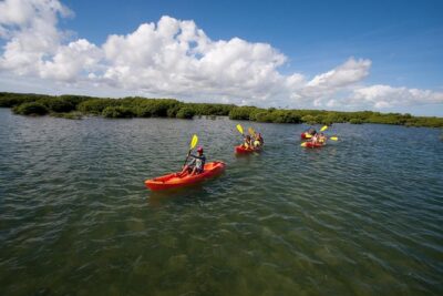 Antigua Zipline & Kayaking Combo From St. John's - The cross-island drive + 4x4 jeep transfer