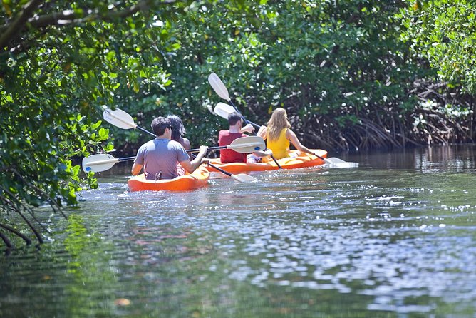 Antigua Zipline & Kayaking Combo From St. John's - Great Bird Island: swim, snorkel, and a proper lunch break