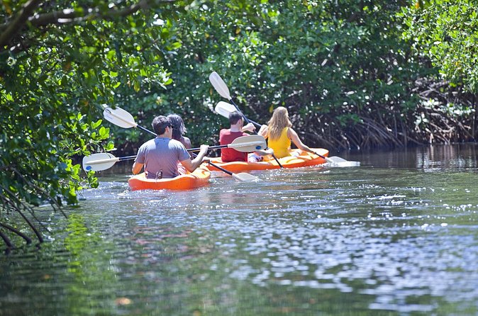 Antigua Zipline & Kayaking Combo From St. John's - Price and value: what you’re really paying for at $222.47