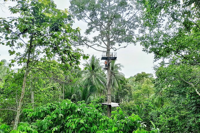 ATV And Zipline Experience on Koh Samui with Transfer - Koh Samui ATV + Zipline: What This Really Delivers