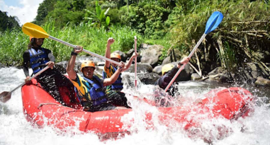 Bali Rafting: River Rafting with Zipline Down to the River - Who This Tour Suits Best (and Who Should Think Twice)
