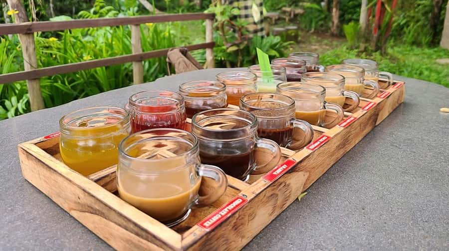 Bali: Ubud Day Tour with Swing and Zipline - Pemulan Bali Coffee Plantation: A Coffee Lesson, Not Just a Shop