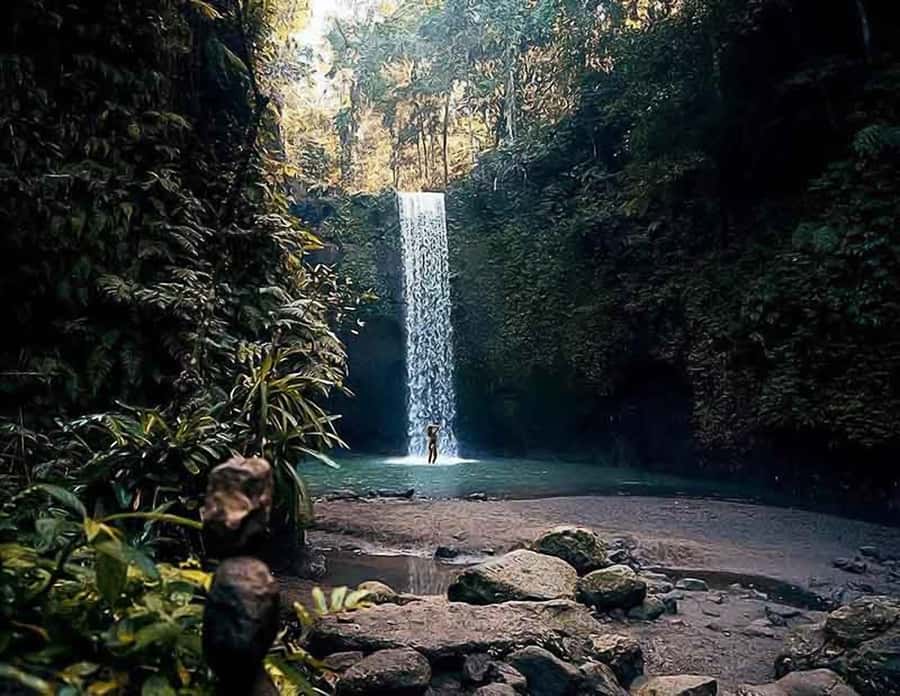 Bali: Ubud Day Tour with Swing and Zipline - Price and Value: $30 for Transport, Guide, and a Full Route
