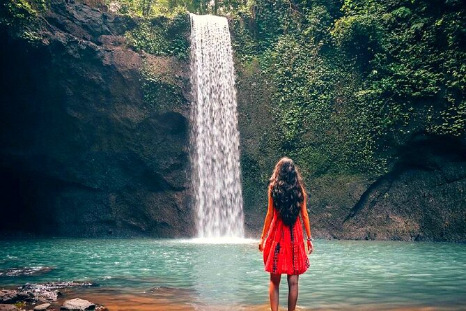 Bali Ubud Zipline, Monkey Forest and Waterfall Adventure - Price and Logistics: What You’re Really Paying For